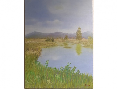 Bozica Bozic, Na putu za Vivoze, ulje na platnu, 70x50, 2020.