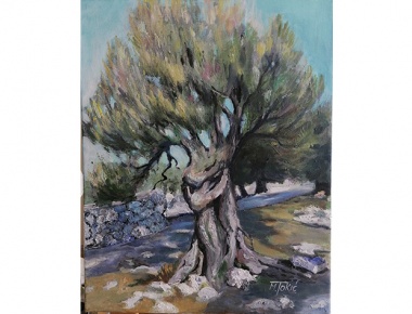 Marija Tokic, Suncem obasjana, akril na platnu, 50x40, 2020.