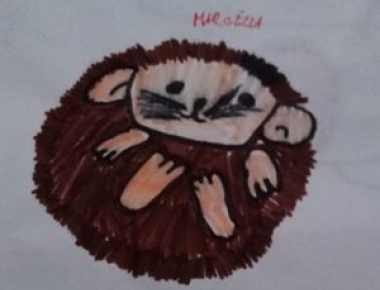 Marcela