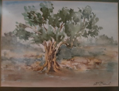 LUA'09, Zlata Barili, Maslina, Akvarel na papiru, 30x40, 2003.g.